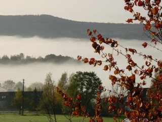 der Frhnebel