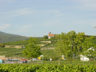 Blick vom Stellplatz auf die Weinberge