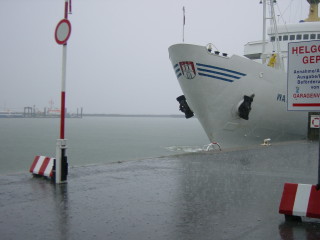 knnt ihr den Regen sehen?